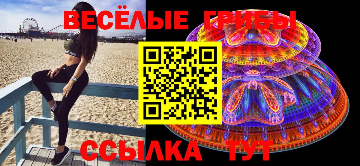Галлюциногенные грибы прущие грибы  цена наркотик  Сунжа  Вход с VPN 